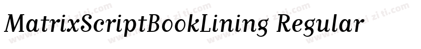 MatrixScriptBookLining Regular字体转换